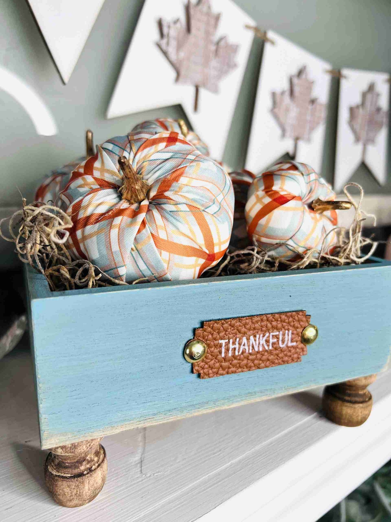 dollar-general-pumpkin-pedestal-tray-word-home