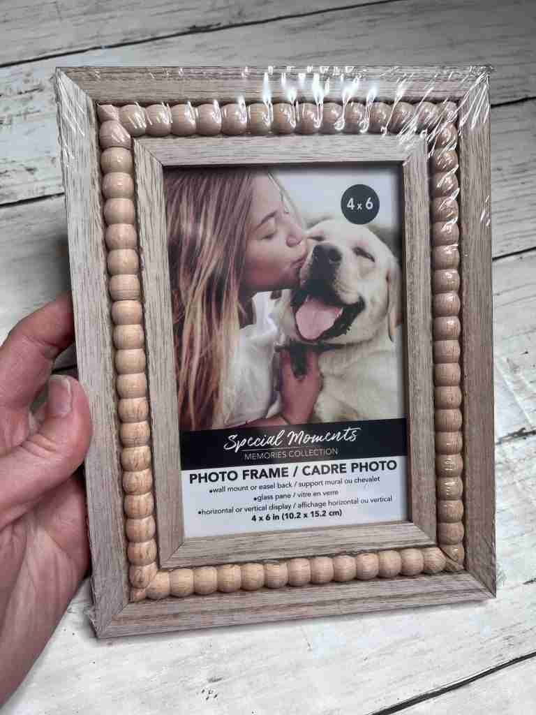 Dollar Tree frame