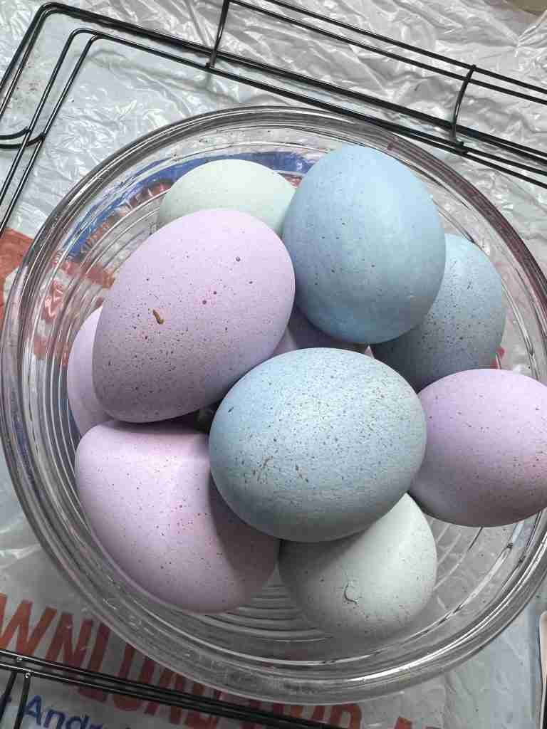 painted and speckled eggs