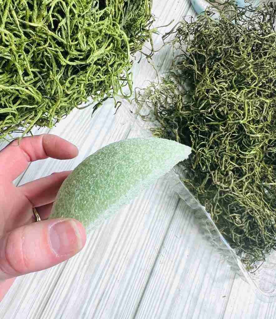 styrofoam circle cut in half