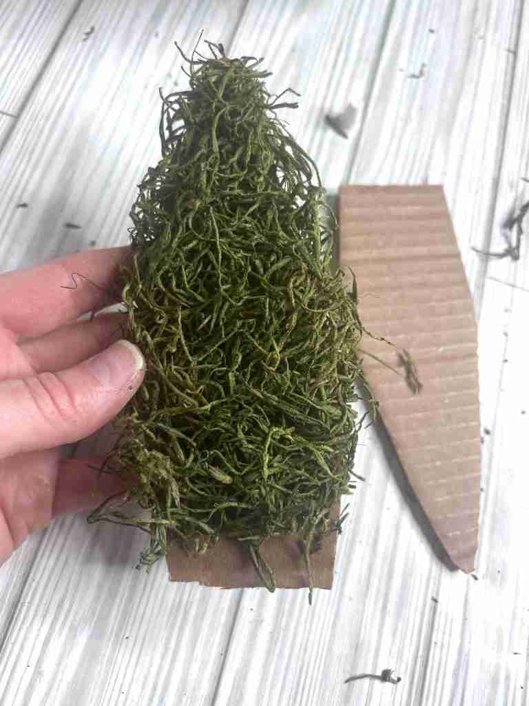 cardboard ears covered in moss