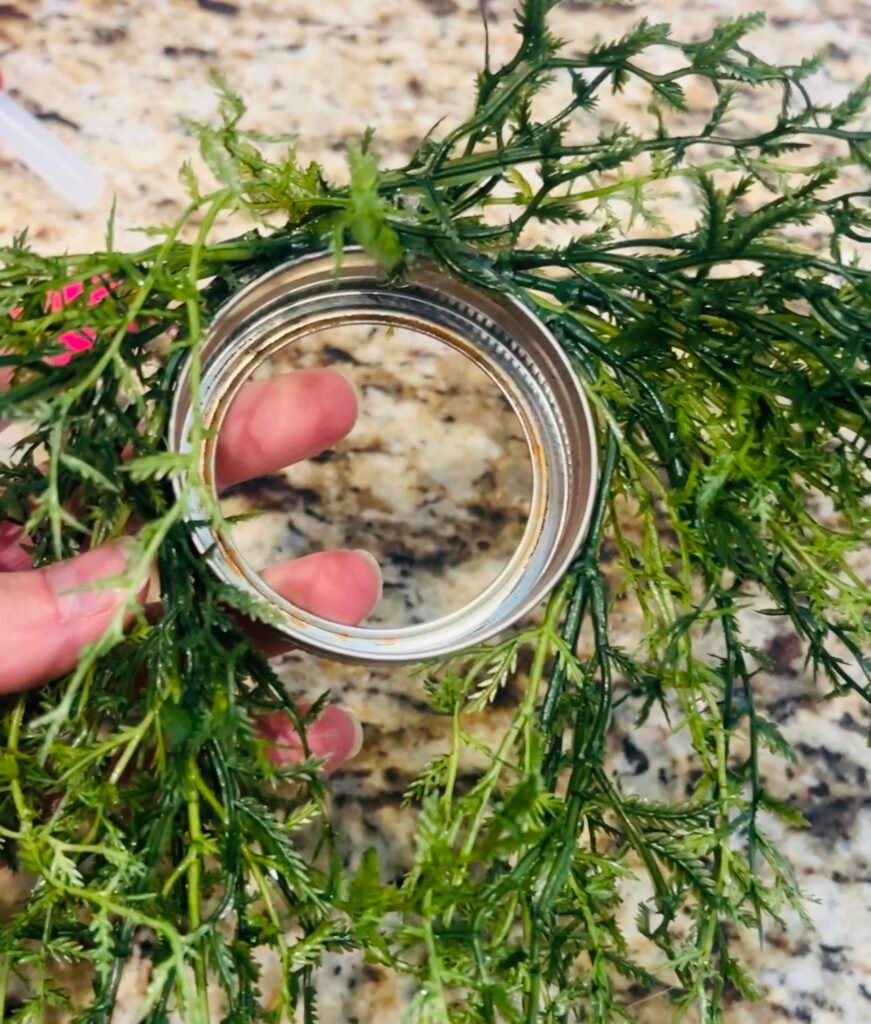 old canning ring with greenery hot glued onto outside